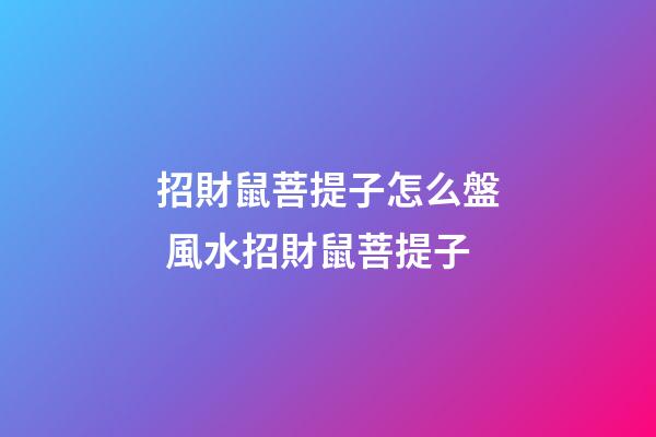 招財鼠菩提子怎么盤 風水招財鼠菩提子